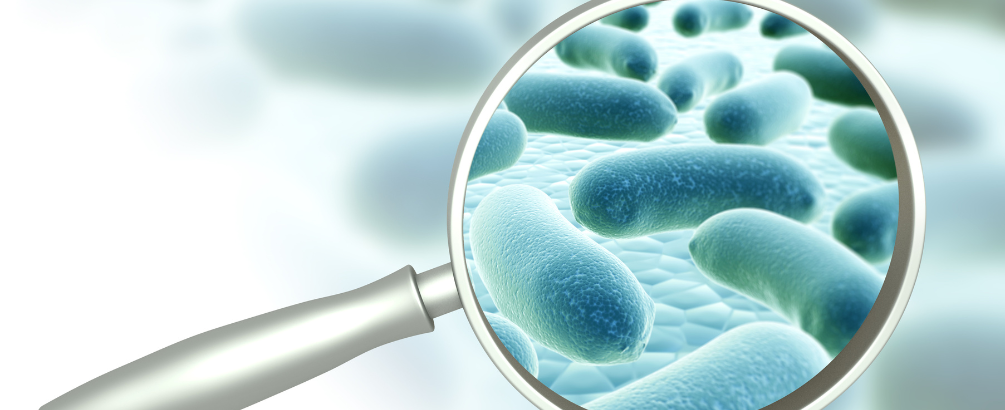 Can Bacteria Grow in Water Filters? Everything You Need to Know