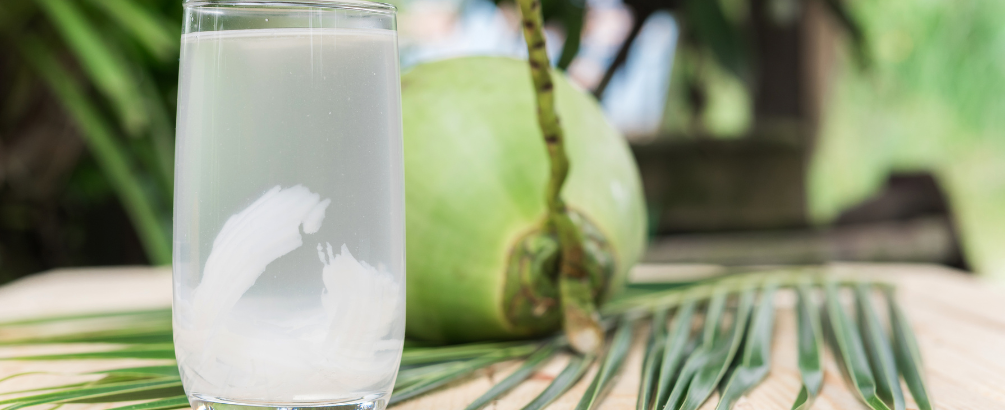 Can Dogs Drink Coconut Water?