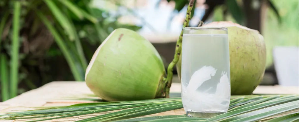 Coconut Water Calories: What You Should Know